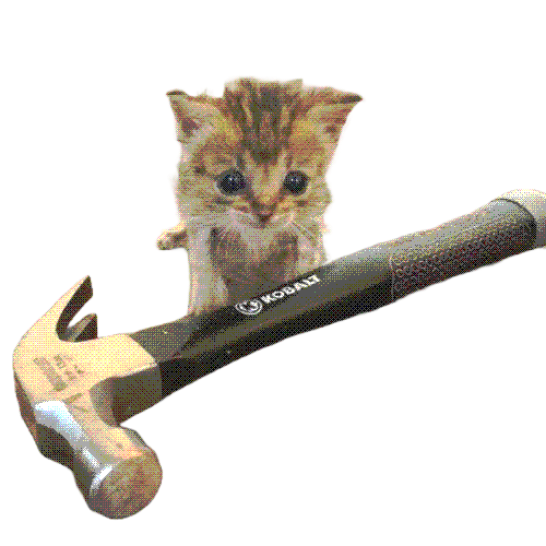 cat. & hammer